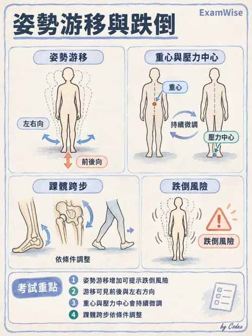 職治 - 脊椎、下肢與姿勢控制 - AI 圖文解析預覽