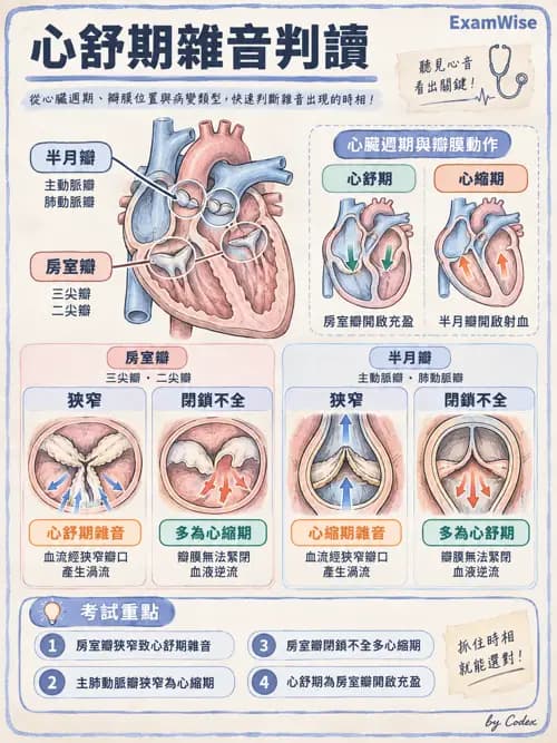 職治 - 心血管、血液與免疫生理 - AI 圖文解析預覽