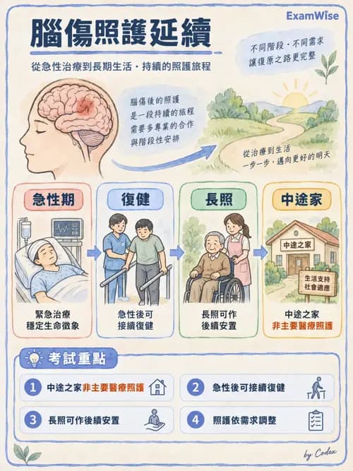 職治 - 服務場域與健康促進 - AI 圖文解析預覽