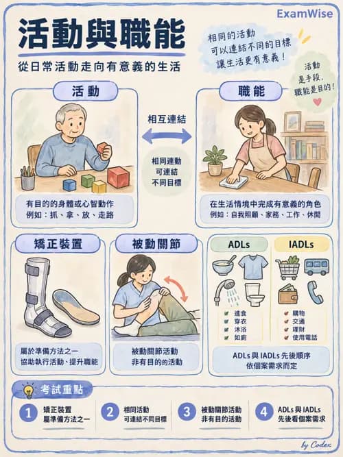 職治 - 實務架構與介入歷程 - AI 圖文解析預覽