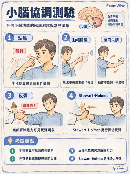 職治 - 評估與測量 - AI 圖文解析預覽