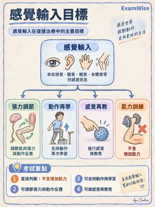 職治 - 實務架構與介入歷程 - AI 圖文解析預覽