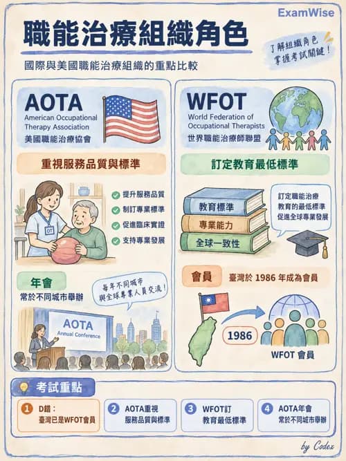 職治 - 歷史與專業發展 - AI 圖文解析預覽