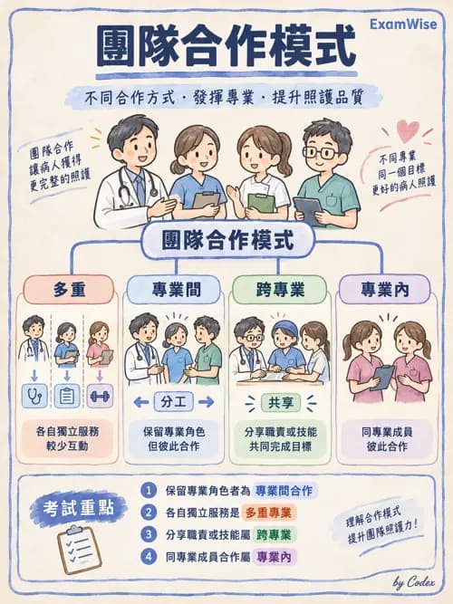 職治 - 服務場域與健康促進 - AI 圖文解析預覽