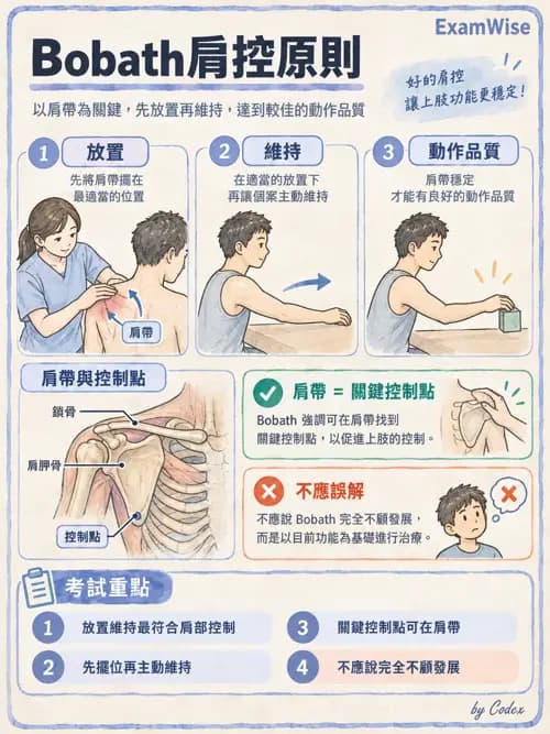 職治 - 神經動作治療理論 - AI 圖文解析預覽