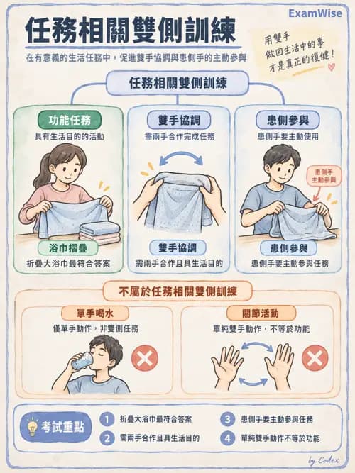 職治 - 神經動作治療理論 - AI 圖文解析預覽