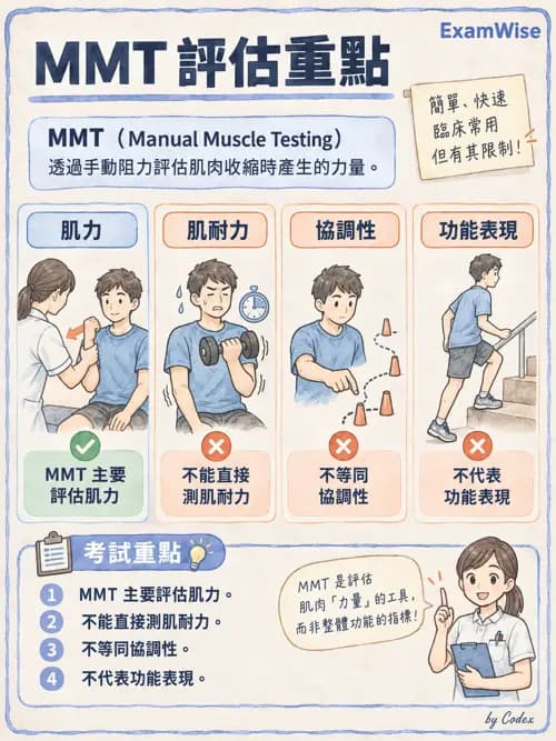 職治 - 動作功能與生物力學 - AI 圖文解析預覽