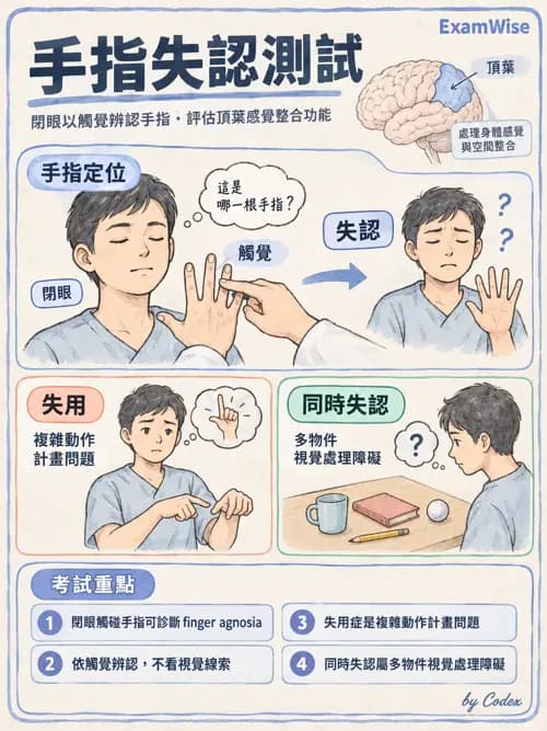 職治 - 感覺、視覺與知覺 - AI 圖文解析預覽