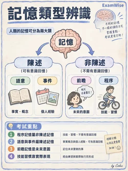 職治 - 認知評估與介入 - AI 圖文解析預覽