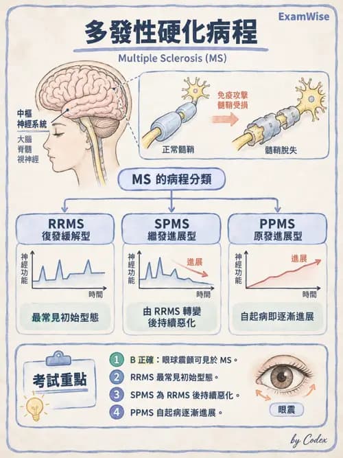 職治 - 神經退化與神經肌肉疾病 - AI 圖文解析預覽