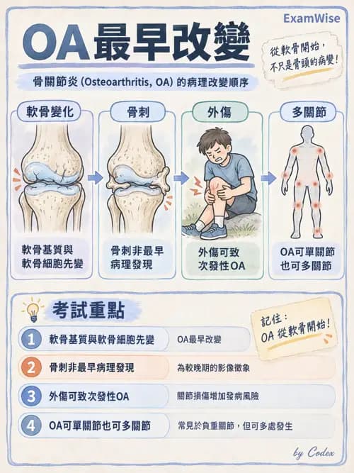 職治 - 骨科與風濕疾病 - AI 圖文解析預覽