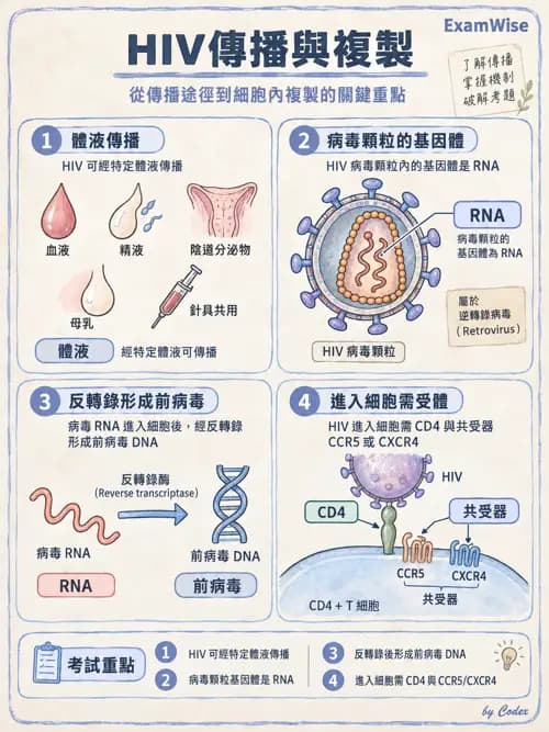 職治 - 心肺疾病、燒燙傷與癌症 - AI 圖文解析預覽