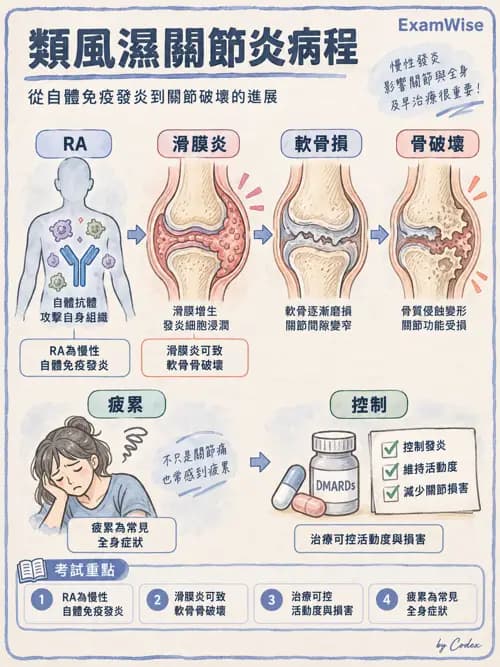 職治 - 骨科與風濕疾病 - AI 圖文解析預覽