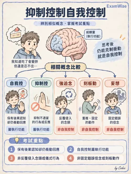 職治 - 壓力、情緒與感覺處理 - AI 圖文解析預覽