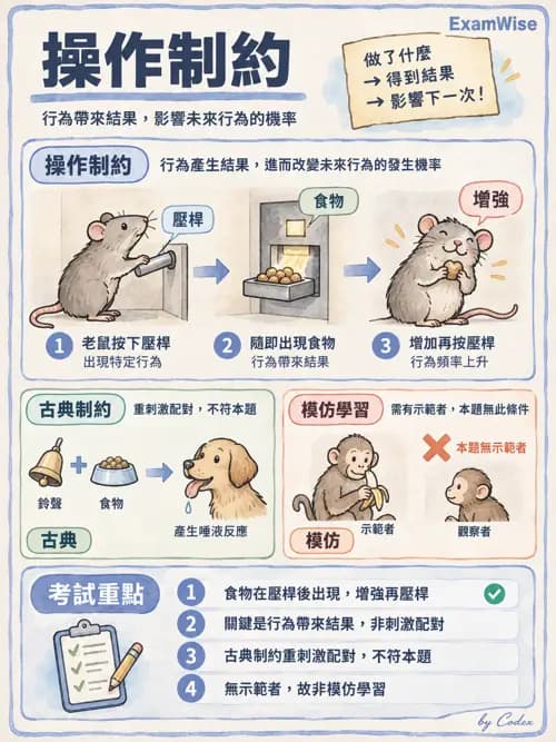 職治 - 行為取向與社會學習 - AI 圖文解析預覽