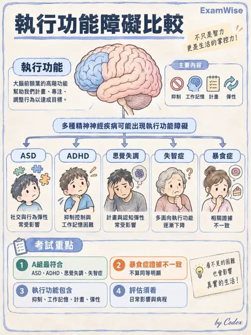 職治 - 認知取向與認知障礙模式 - AI 圖文解析預覽