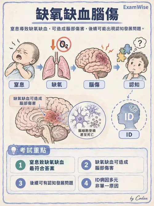 職治 - 兒童青少年心理衛生 - AI 圖文解析預覽