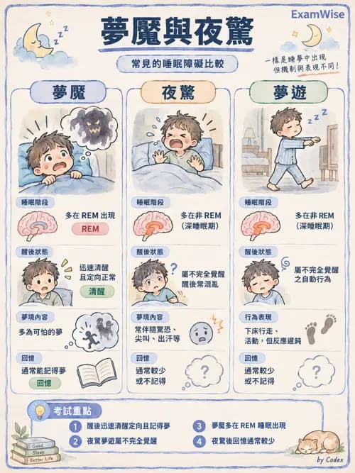 職治 - 焦慮、人格與其他精神疾患 - AI 圖文解析預覽