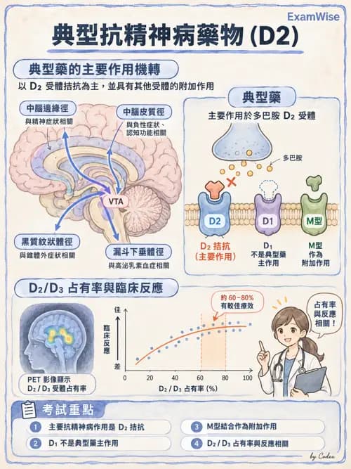 職治 - 精神藥物與神經生物 - AI 圖文解析預覽