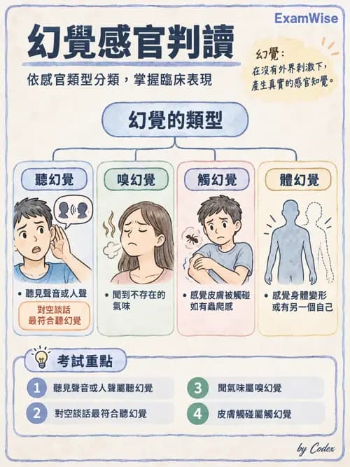 職治 - 思覺失調與情緒障礙 - AI 圖文解析預覽