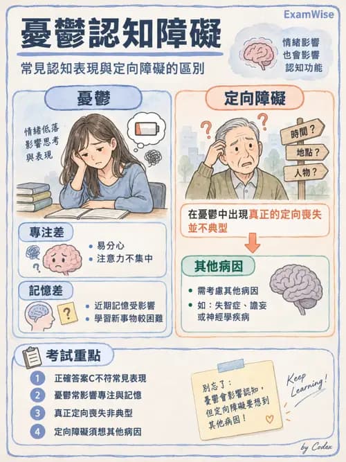 職治 - 認知取向與認知障礙模式 - AI 圖文解析預覽