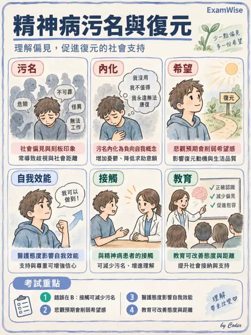 職治 - 污名、社會融合與家庭 - AI 圖文解析預覽