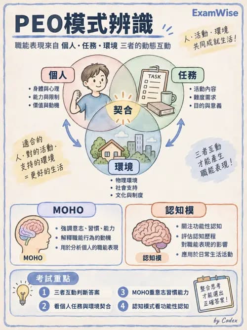 職治 - 以職能為基礎的模式 - AI 圖文解析預覽