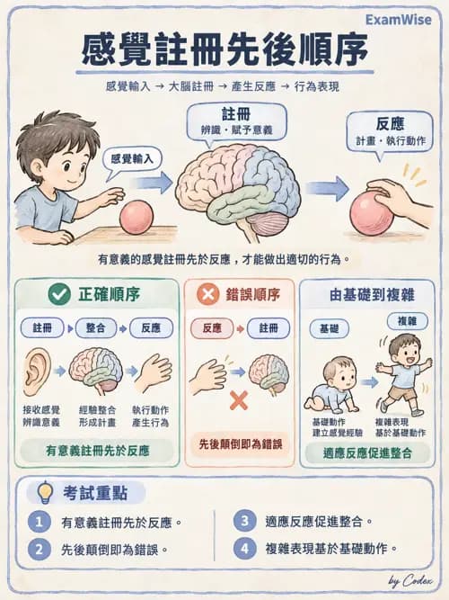 職治 - 感覺統合與感覺處理 - AI 圖文解析預覽