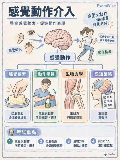 職治 - 書寫與學習 - AI 圖文解析預覽