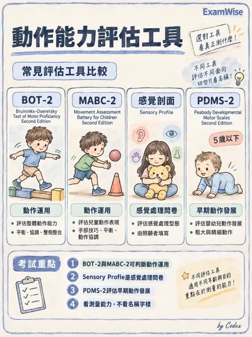 職治 - 感覺統合與感覺處理 - AI 圖文解析預覽