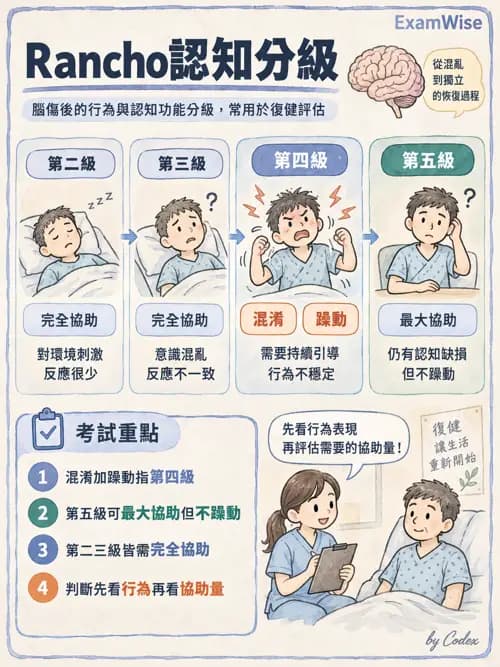 職治 - 神經動作與醫療相關診斷 - AI 圖文解析預覽
