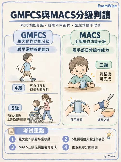 職治 - 神經動作與醫療相關診斷 - AI 圖文解析預覽