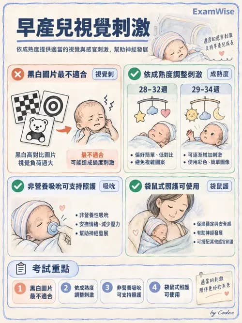 職治 - 醫療與早期療育體系 - AI 圖文解析預覽