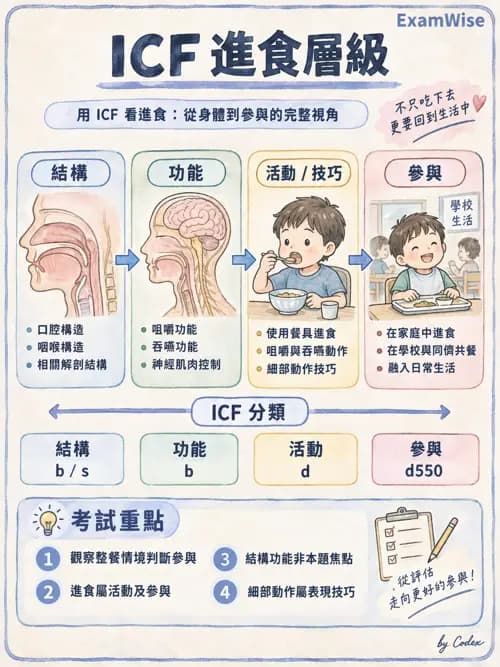 職治 - OTPF實務架構與ICF - AI 圖文解析預覽
