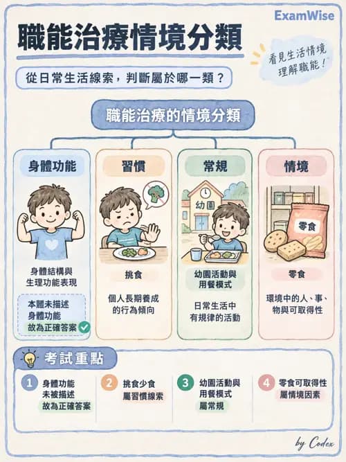 職治 - OTPF實務架構與ICF - AI 圖文解析預覽