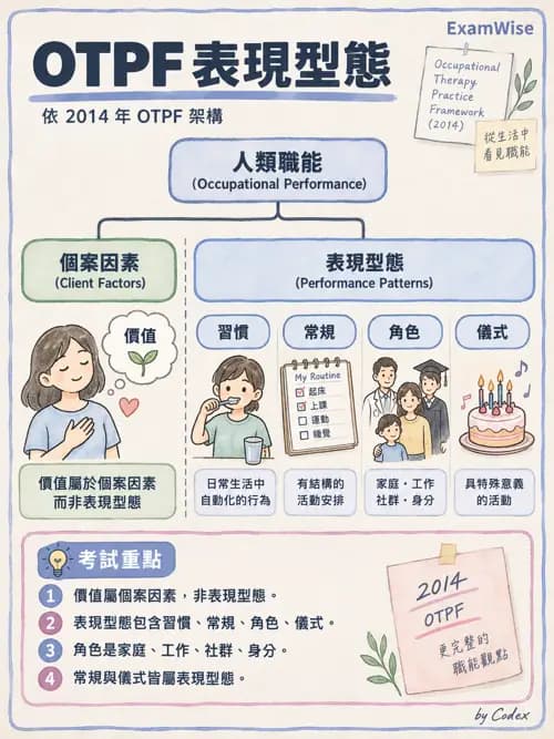 職治 - OTPF實務架構與ICF - AI 圖文解析預覽