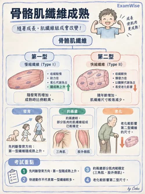 職治 - 肌動學原理與上肢 - AI 圖文解析預覽