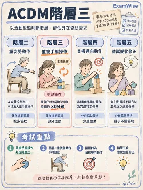 職治 - 團體類型與治療關係 - AI 圖文解析預覽