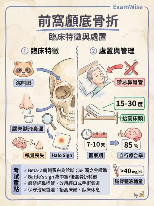 護理師 - 顱內壓升高與頭部外傷 - AI 圖文解析預覽