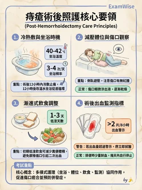 護理師 - 腸道疾病與手術護理 - AI 圖文解析預覽
