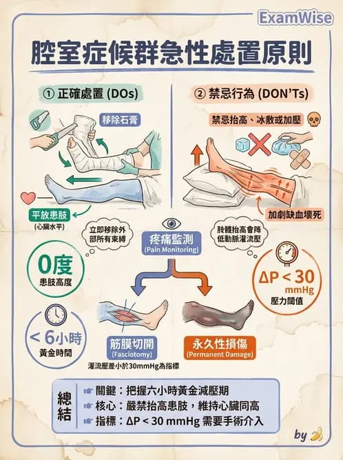 護理師 - 骨折與牽引護理 - AI 圖文解析預覽