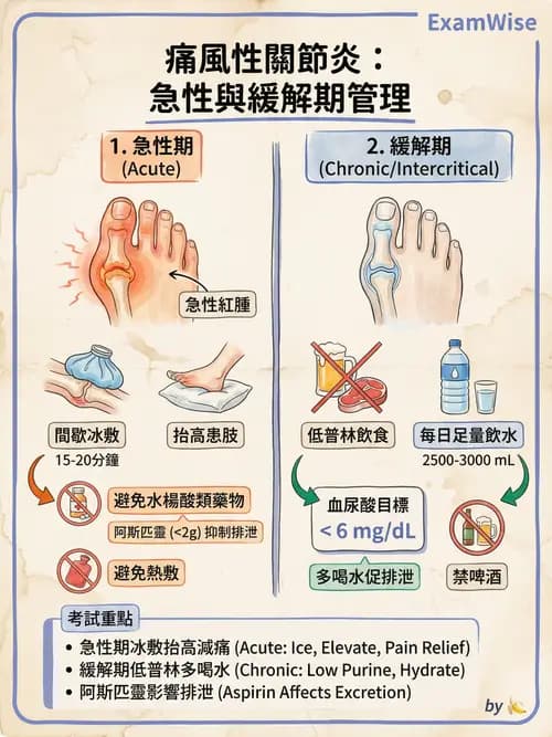 護理師 - 關節疾病與骨科手術 - AI 圖文解析預覽