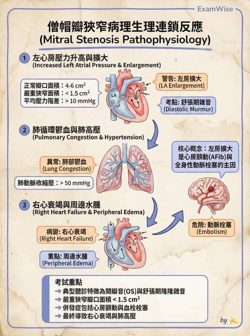 護理師 - 心臟瓣膜病與發炎性心臟病 - AI 圖文解析預覽