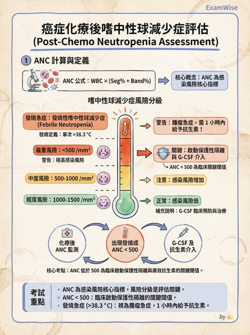 護理師 - 化療護理 - AI 圖文解析預覽