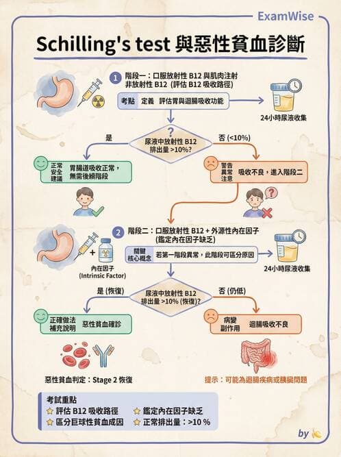 護理師 - 貧血與凝血疾病 - AI 圖文解析預覽