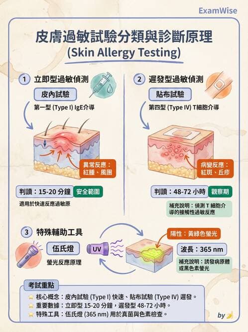 護理師 - 自體免疫疾病與過敏反應 - AI 圖文解析預覽