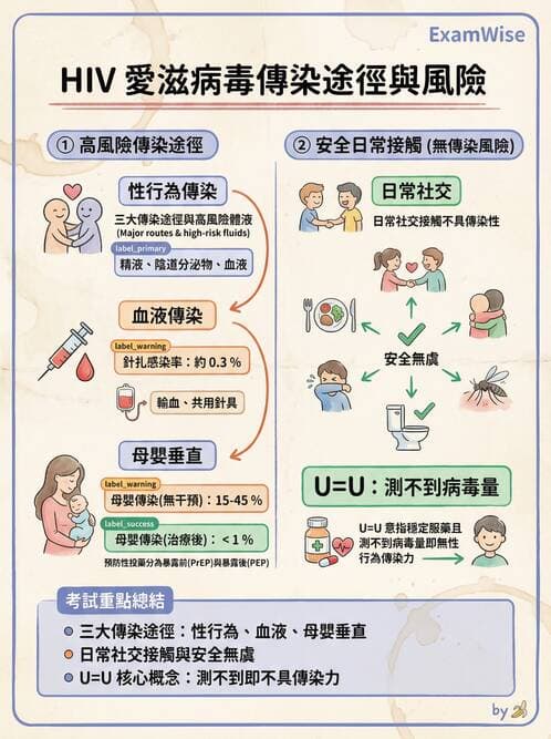 護理師 - 器官移植與AIDS - AI 圖文解析預覽