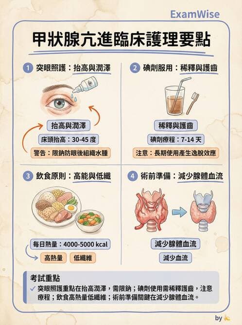 護理師 - 甲狀腺與副甲狀腺疾病 - AI 圖文解析預覽