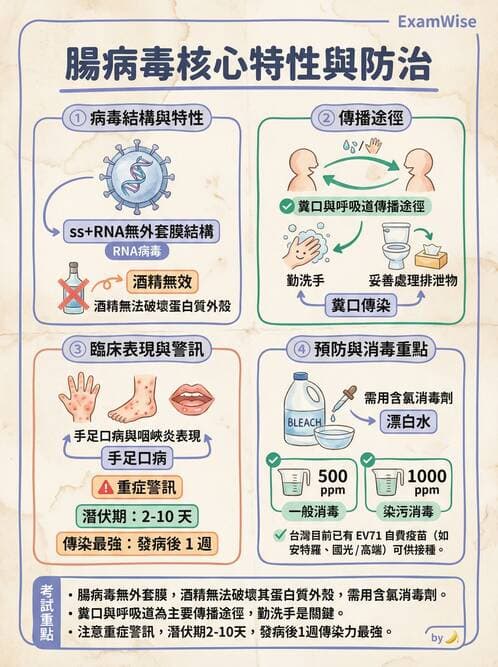 護理師 - 傳染病護理 - AI 圖文解析預覽