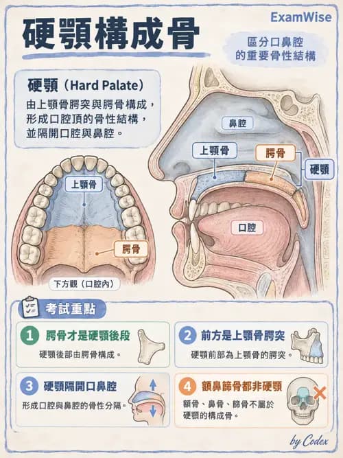 職治 - 頭頸與軀幹肌肉骨骼 - AI 圖文解析預覽